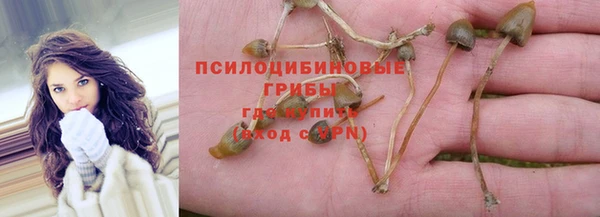 трава Армянск