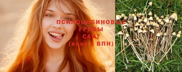 соль ск Аркадак