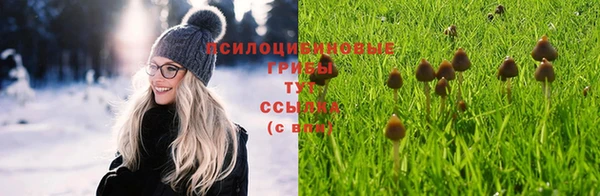 соль ск Аркадак